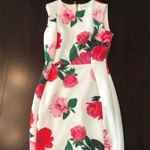 Calvin Klein Floral Scuba Crepe Sheath Dress